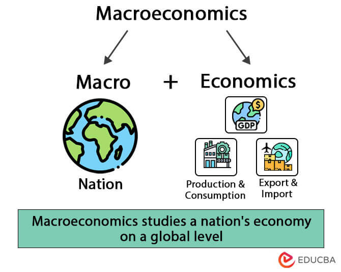 Unlocking the Dynamics of Macroeconomics and Finance: A Comprehensive Exploration