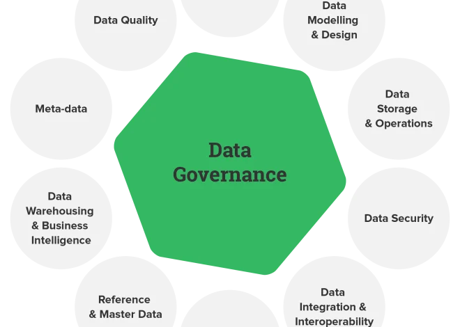 Navigating the Seas of Data Governance in the BFSI Sector